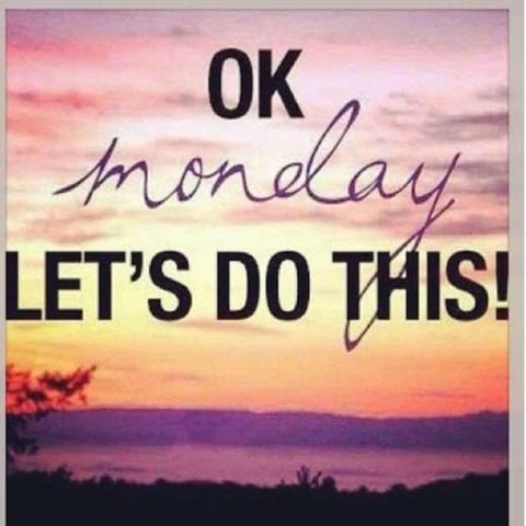 Model analysis - Bolton's Analysis