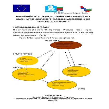 Model dfpsir nishava_en