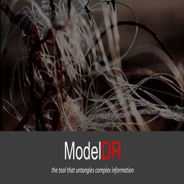 ModelDR - the tool that untangles complex information
