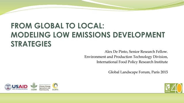 thumbnail of  Modeling low emissions development strategies