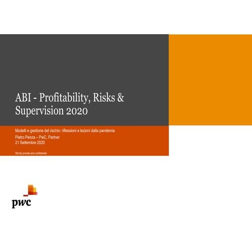 ABI - Profitability, Risks & Supervision 2020