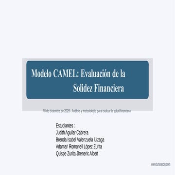 Metodo CAMEL | DOCX