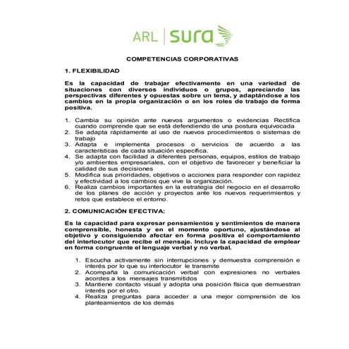 modelo_competencias.doc