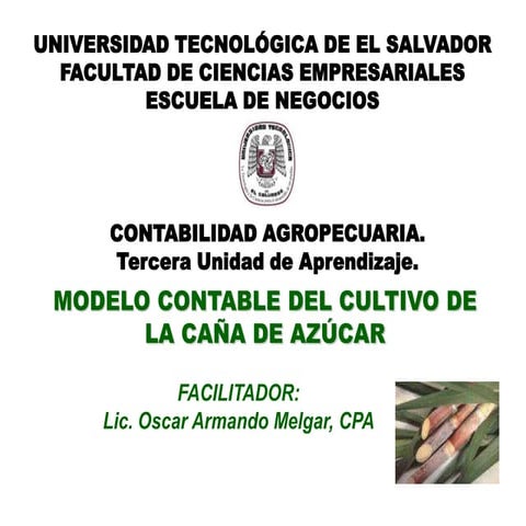 Modelo contable del cultivo de la caña de azúcar Oscar Melgar