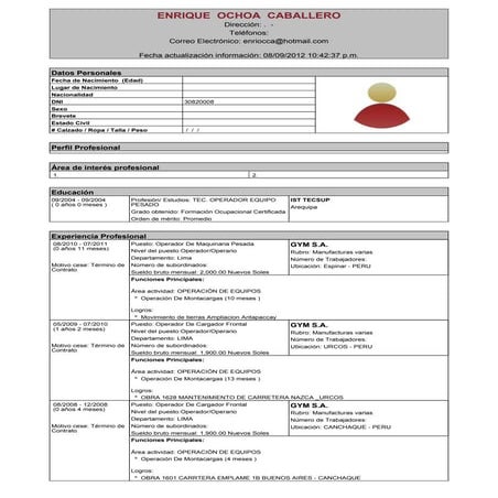 Modelo cv (1) | PDF