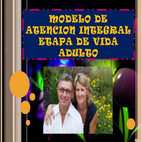 Modelo de Atencion Integral Adulto