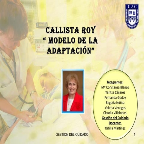 Modelo de c roy definitivo | PPT