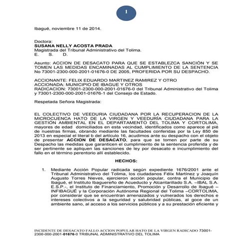 Incidente de Desacato, Ibagué - Tolima