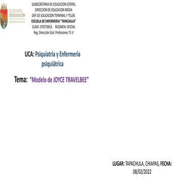 Modelo de joyce travelbee