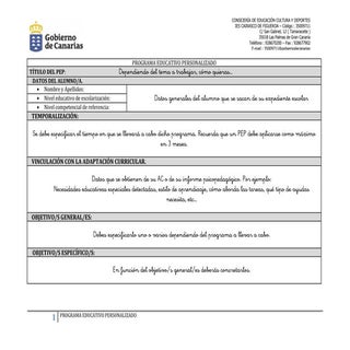 Modelo de pep curricular   instrucc...