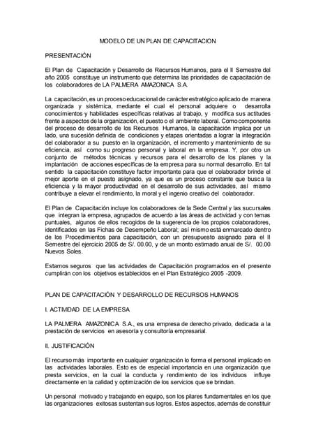 formato plan anual de capacitacion | PDF