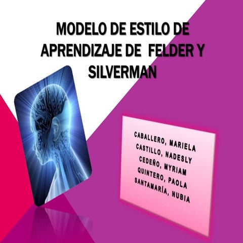 Modelo felder silverman