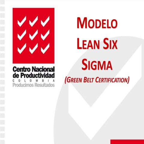 Modelo Lean Six Sigma (Green Belt Certification) CNP | PDF