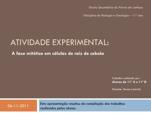 Modelo mitose trabpratico