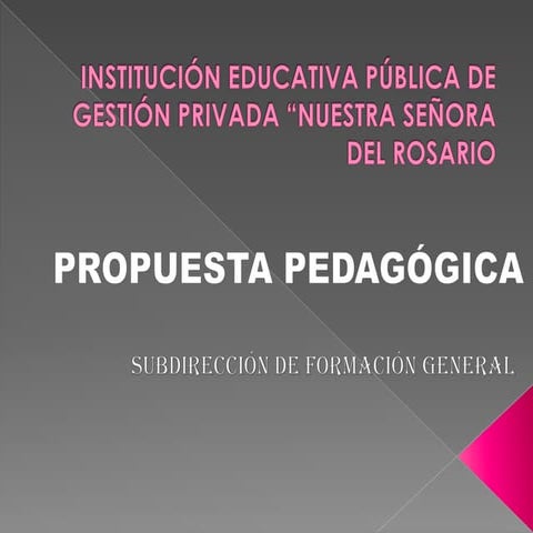 Modelo pedagógico i.e. nsr.