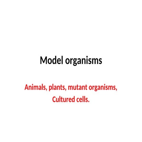 Model organisms | PPT