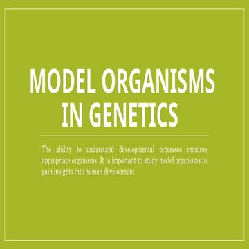 Model organisms | PPT