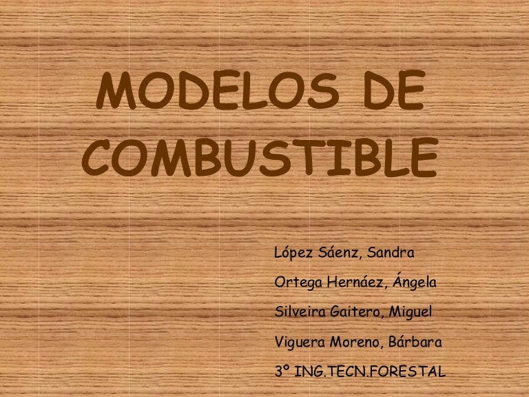 Modelos De Combustible Modelos De Combustible