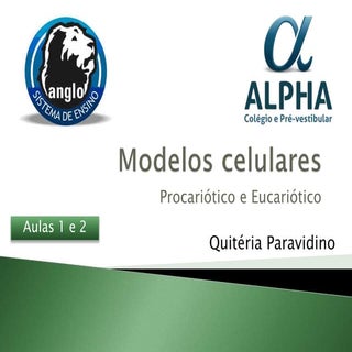 Modelos celulares