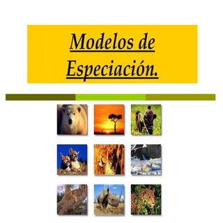 Modelos de especiación