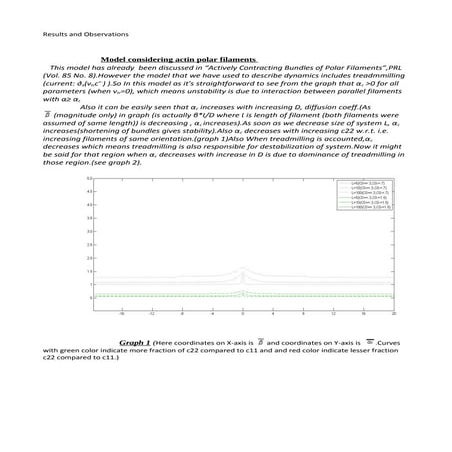 Model results (Actin Dynamics)