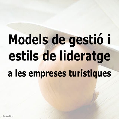 Models de Gestió i estils Lideratge