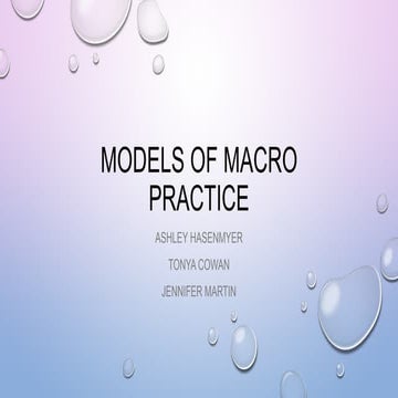 Models of macro practice