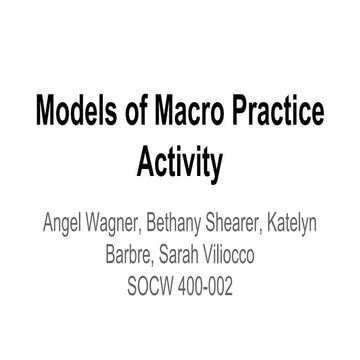 Models of macro practice activity