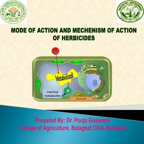 Mode of action Mechanism of action of of herbicides