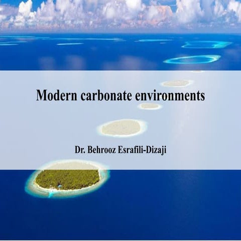 Modern carbonate environments
