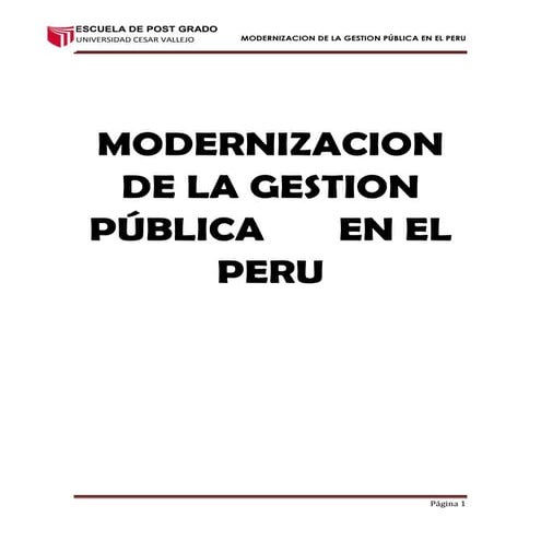 Modernizacion de la gestion pública en el peru | DOCX