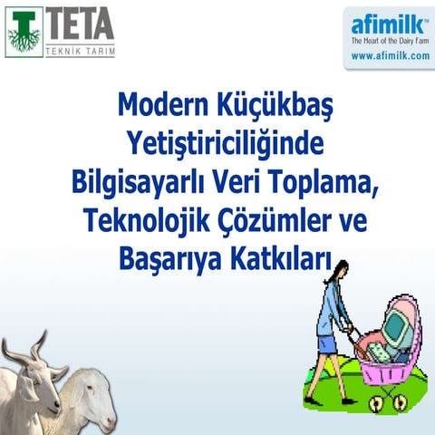 Modern Koyun Yetiştiriciliği