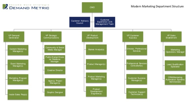 Social Media Team Org Chart