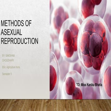 Modes of asexual reproduction