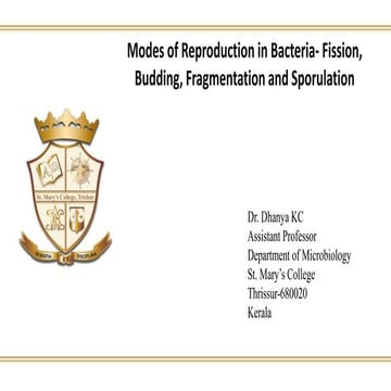 Modes of bacterial reproduction