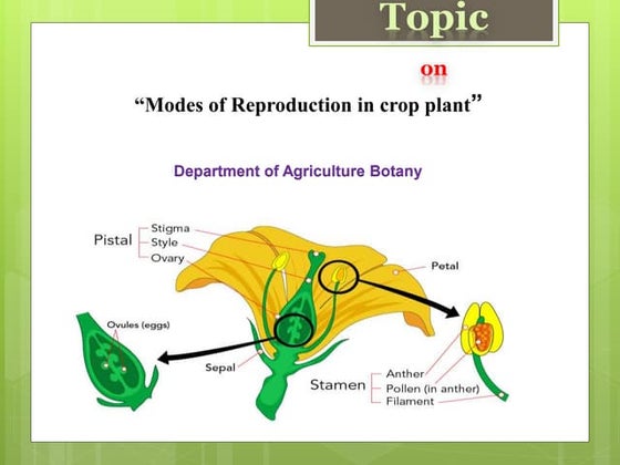 Modes of Reproduction in crop plant.pptx