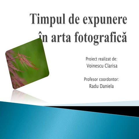 Modificat arta fotografica
