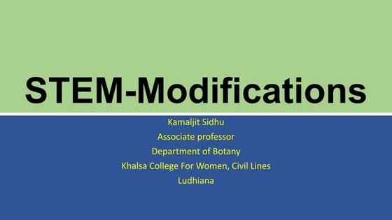 Stem Functions And its modifications | PPT