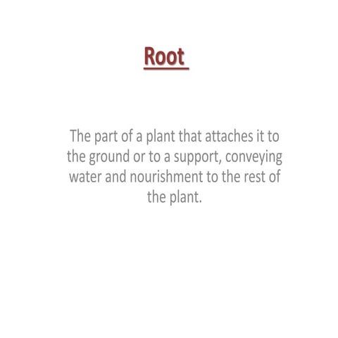 Modifications of roots
