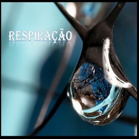 Modifique sua emoção através da respiração