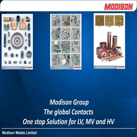 Modison Group | PDF | Commodities | Economy