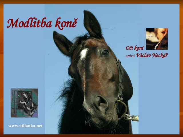 Modlitba Koně
