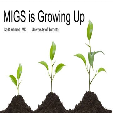 SPOTLIGHT ON MIGS