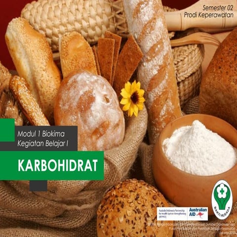 Proses Pencernaan dan Metabolisme Karbohidrat