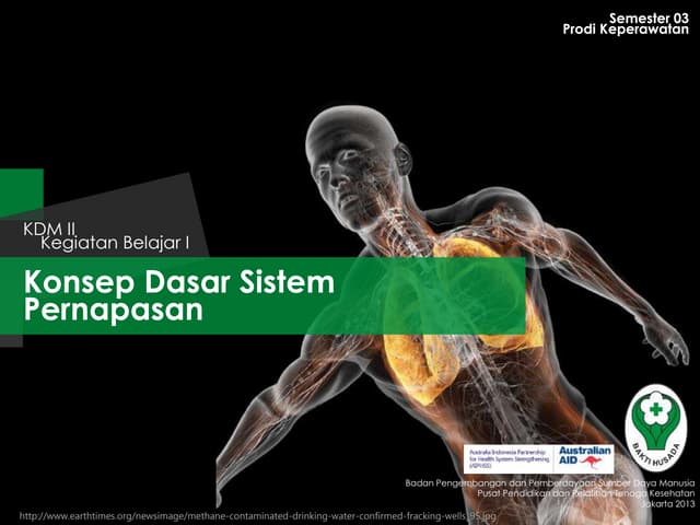 Konsep Dasar Sistem Pernapasan