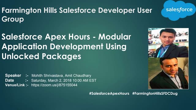 Modular application development using unlocked packages
