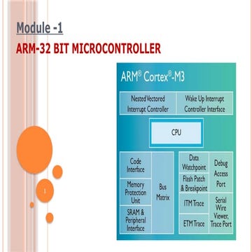 MISRA and Polyspace Guideline and Trap handlng.pptx