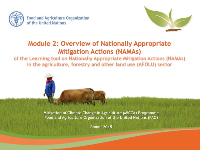 Module 2: Overview of Nationally Appropriate Mitigation Actions – the FAO Learning tool on Nationally Appropriate Mitigation Actions (NAMAs) in the agriculture, forestry and other land use sector
