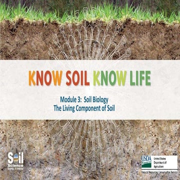 soil-biology.pptx