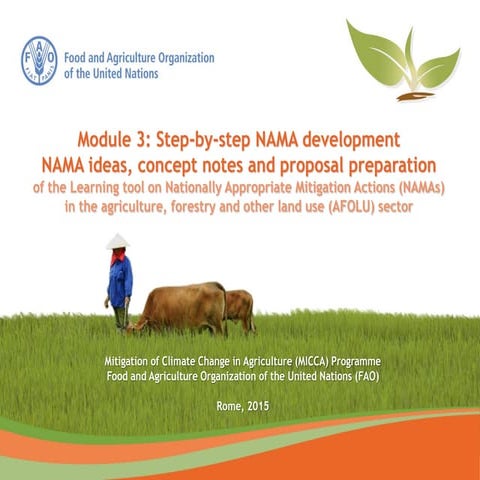 Module 3: Step-by-step NAMA development - NAMA ideas, concept notes and propo...